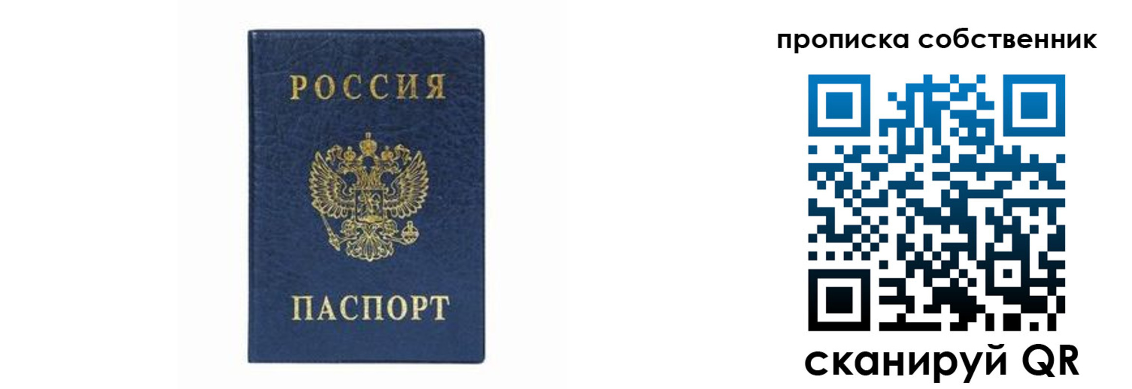 прописка в Мончегорске