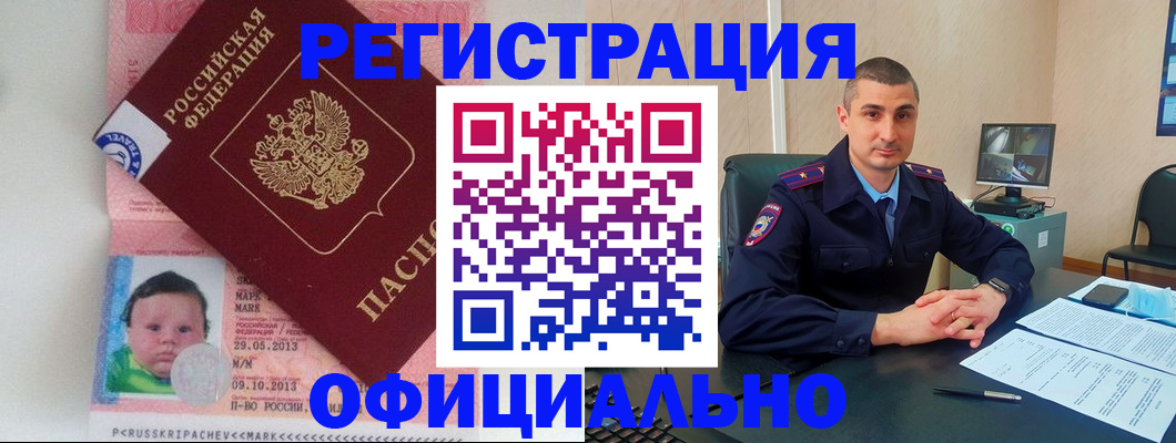 прописка поиск в Мончегорске